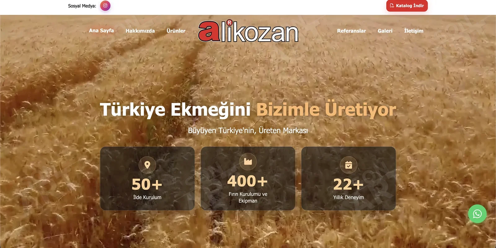 Alikozan web sitesi tasarımı
